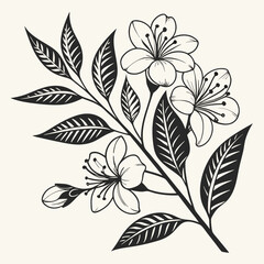 Elegant black white floral design
