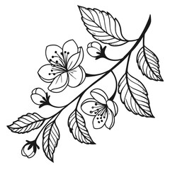 Elegant blossom branch illustration