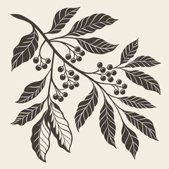 Elegant branch with berries illustration