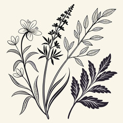 Elegant floral illustration design