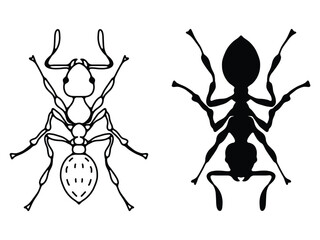 Ant Silhouette And Outline vector, Image In Top Form Editable Vector