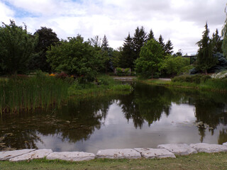 Summer landscape of the park with pond,