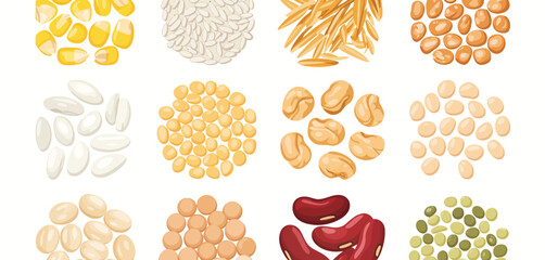 Collection of various healthy grains and legumes arranged in circles on white background