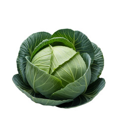 Obraz premium Fresh Green Cabbage With Water Droplets isolated on a transparent background