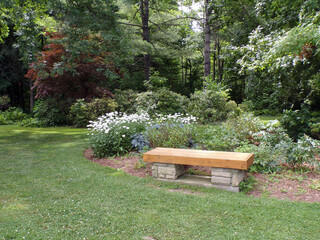 Summer landscape of the park with bench