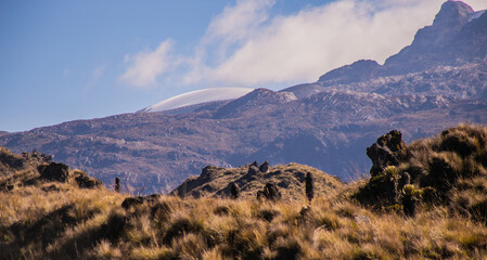 Paisaje de alta montaña con frailejones y cumbre nevada en día despejado