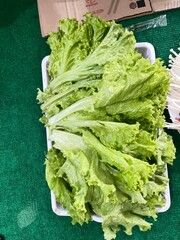 Fresh Lettuce Display: A vibrant display of fresh, crisp lettuce, showcasing its natural green hues and textured leaves.