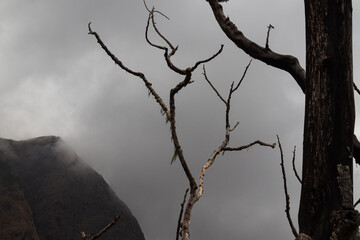 Remote mountain landscape framed by bare branches under a cloudy sky