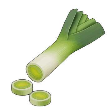 green leek vegetable with sliced pieces clip art preview