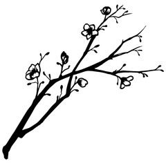 Traditional Japanese Plum Blossom Branch Vector Illustration – Hand Drawn Ink Style Oriental Floral Design for Tattoo, Wall Art, and Digital Decoration Projects