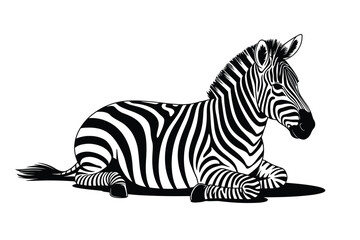 Stylized black and white illustration of a zebra resting on a white background