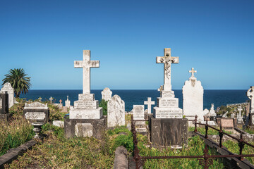 Bronte, Australia - 19 January 2025 : Waverley Cemetery, cemetery on top of the cliffs at Bronte in...