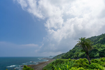 道の駅フェニックス付近の海景