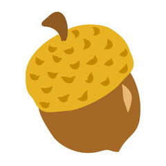autumn acorn vector illustration, fall oak nut clipart, seasonal nature graphic isolated on white