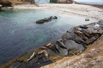 Nice beach at the shore of the Pacific Ocean view point in La Jolla, San Diego, California, United...