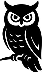 Fototapeta premium owl on a branch