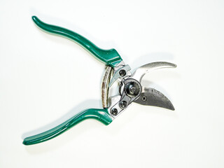 Pruning shears rest on a clean white surface, showcasing their green handles and silver blades...