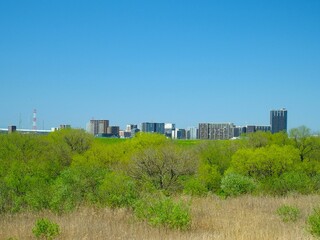 Fototapeta premium 春の江戸川土手から見る芽吹きの木々のある河川敷と対岸のビル群風景