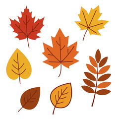 Autumn Illustration of Maple Leaves in Fall Seasonal Transparent Background
