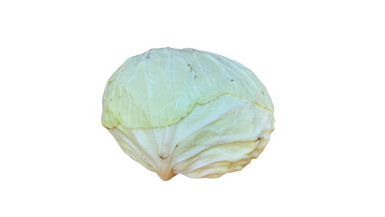 Whole cabbage vegetables with dense layers and distinctive veined texture, appearing fresh and full...
