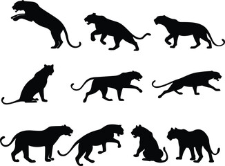 Majestic Tiger Silhouette  Wild Jungle Predator Art