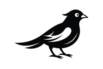 Fototapeta premium Ink style bird overlay detailed artistic sketch vector art illustration