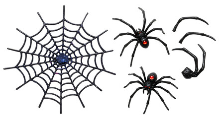 A detailed illustration of a spider web with multiple spiders, showcasing their intricate design and vivid colors against a transparent background