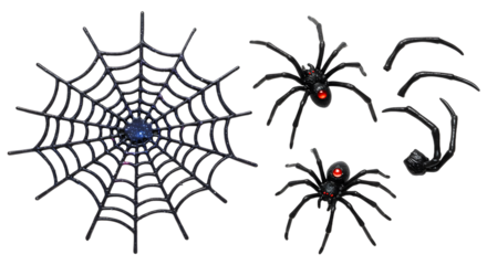 A detailed illustration of a spider web with multiple spiders, showcasing their intricate design and vivid colors against a transparent background