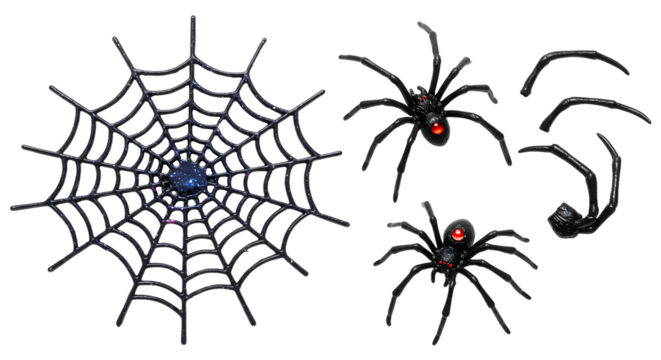 A detailed illustration of a spider web with multiple spiders, showcasing their intricate design and vivid colors against a transparent background