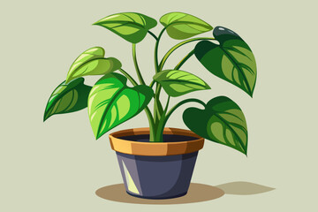 green plant in a pot
