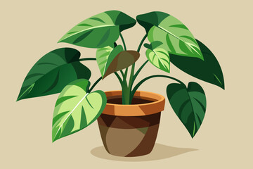 pothos no background