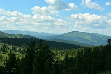 View over the tops of tall cedars to intermountain valleys with dense coniferous taiga under a...
