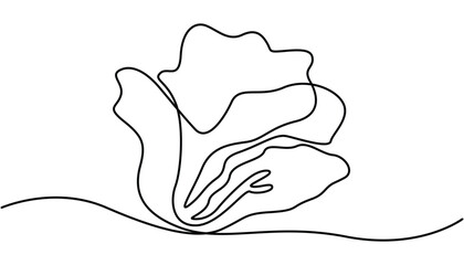 Lettuce in continuous line art drawing style. one line art Lettuce vector illustration. one continuous line, simple, hand drawn and sketch style. Chinese cabbage in continuous line art drawing.