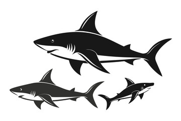 great white shark