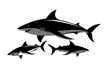 Obraz premium great white shark