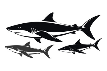 shark vector illustration