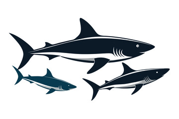 shark vector illustration