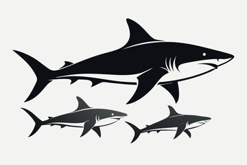 shark vector illustration