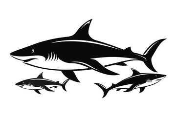 shark vector illustration
