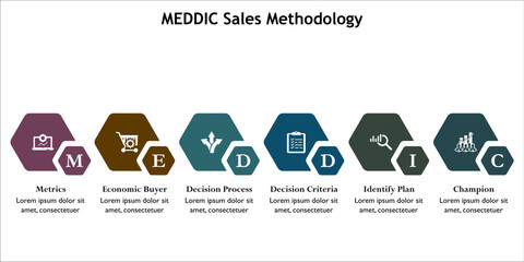 MEDDIC Sales Methodology. Infographic template with icons and description placeholder