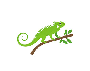 Obraz premium Cartoon Green Iguana Perched on a Branch with Leaves Vector Illustration.
