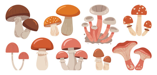 Collection of various cute cartoon mushrooms in different shapes and colors