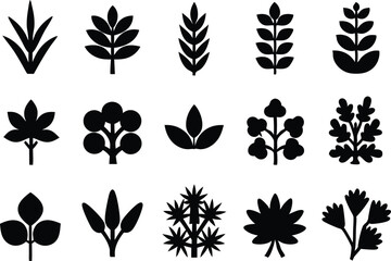 Collection of Simple Black Plant and Leaf Icons Botany Illustrations
