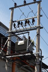 Complex network of power lines surrounding an urban electrical distribution transformer.