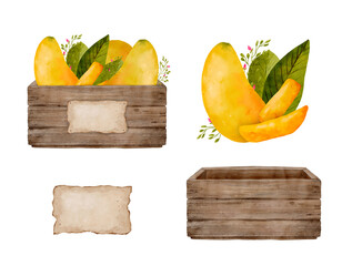 A beautiful watercolor depiction of a fruit crate filled with ripe mangoes and elegant leaves