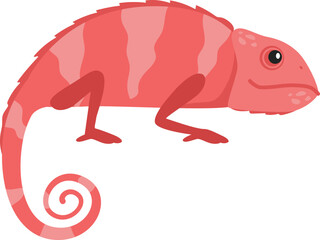 Reptile Illustration