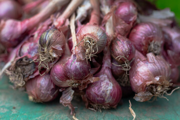 Detailed Macro Shot of Raw Purple Shallots Ready for Cooking Preparation