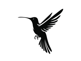 flying hummingbird on silhouette, flying bird