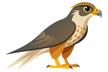 falco pet on white background




