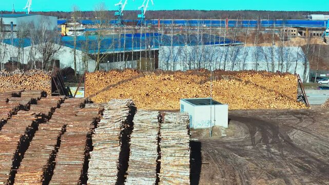Rows of freshly cut timber logs sorted by size fill a large lumber yard bordered by industrial warehouses, cranes, and equipment under bright blue sky.